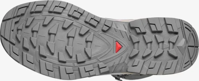 Salomon Quest Echo GTX gull/paloma (Damen)