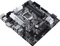 ASUS Prime Z490M-Plus (Intel 1200) Vorschaubild