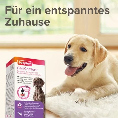 beaphar CaniComfort Nachfüll-Flakon, Pheromon, 48ml
