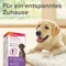 beaphar CaniComfort Nachfüll-Flakon, Pheromon, 48ml Vorschaubild