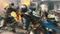 For Honor (PS4) Vorschaubild