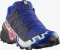 Salomon Speedcross 6 GTX Equipe surf the web/fiery red/white (Herren) Vorschaubild