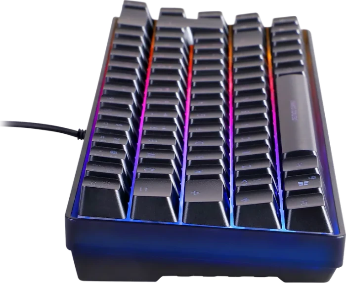Deltaco Gaming DK240 Mini, 60%, schwarz, LEDs RGB, semi-transparent, USB, DE