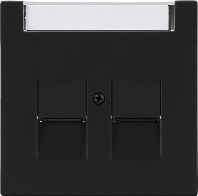 Busch-Jaeger Zentralscheibe mit Beschriftungsfeld Modular-Jack-Einsatz, Keystone 2-fach schwarz - Busch-art linear