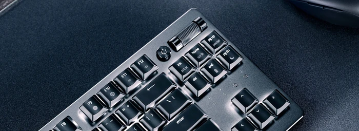 Razer DeathStalker V2 Pro TKL, Razer Low-Profile Linear Optical RED, USB/Bluetooth, DE