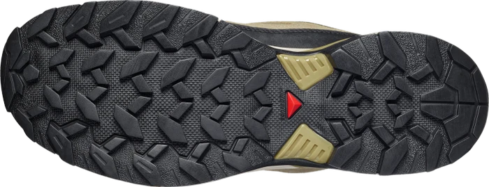 Salomon X Ultra 360 Leather aloe/martini olive/willow (Herren)