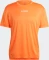 adidas Terrex Multi Funktionsshirt kurzarm (Herren) Vorschaubild