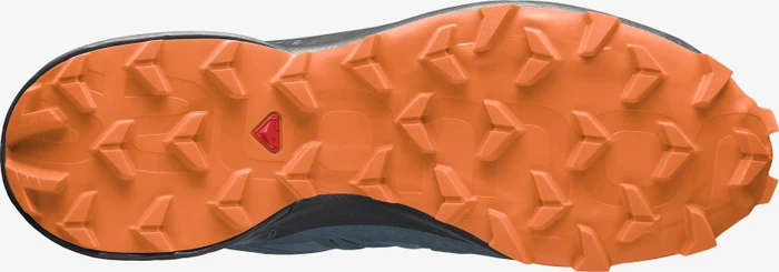 Salomon Speedcross 5 GTX mallard blue/wrought iron/vibrant orange (Herren)