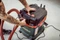 Metabo ASA 30 M PC Nass-/Trockensauger Vorschaubild
