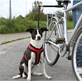 Trixie Biker Set für Hunde Fahrradleine