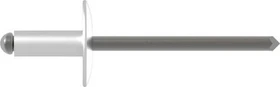 Gesipa A2 Edelstahl Großkopf Blindniete 4.8x25mm, 200 Stück