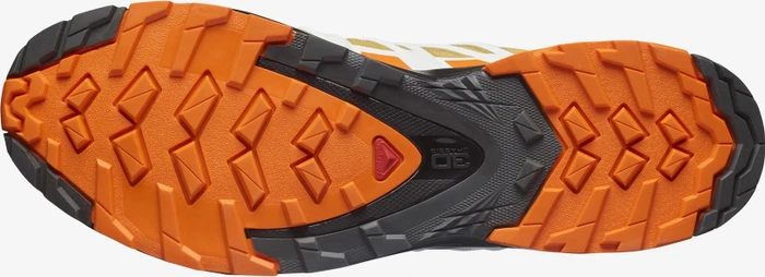 Salomon XA Pro 3D V8 GTX fall leaf/vibrant orange/white (Herren)