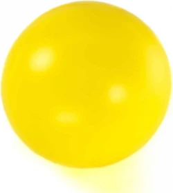 Procyon Treibball, blau