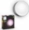 Philips Hue White and Color Ambiance Daylo Wandleuchte edelstahl Vorschaubild