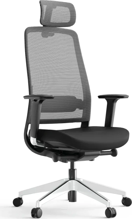 Yaasa Chair Expert Bürostuhl, schwarz