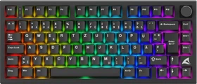 Sharkoon Skiller SGK55W, schwarz, LEDs RGB, hot-swap, Sharkoon Linear, USB, DE (4044951045044)