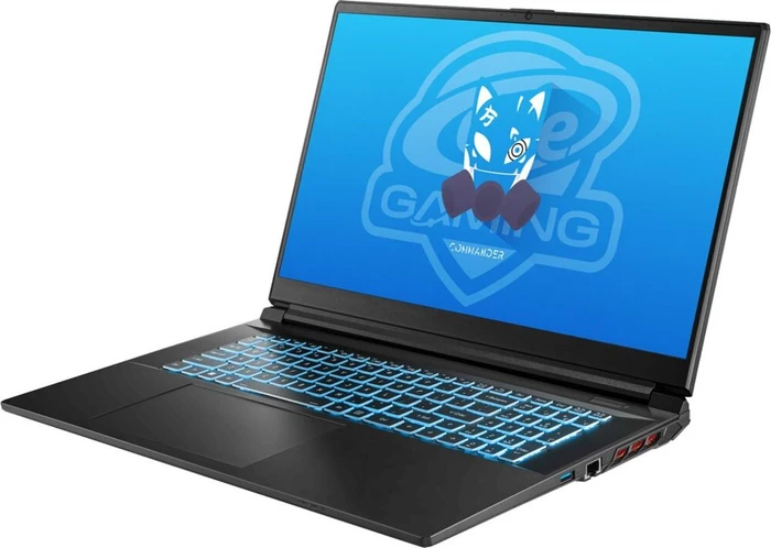 ONE GAMING Commander V73-13NB-RN10, Core i9-13900H, 16GB RAM, 1TB SSD, GeForce RTX 4050, DE