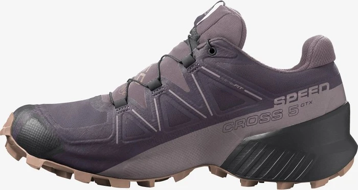 Salomon Speedcross 5 GTX mysterioso/quail/sirocco (Damen)