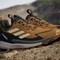 adidas Terrex Free Hiker 2.0 Low GTX bronze strata/savanna/carbon (Herren) Vorschaubild