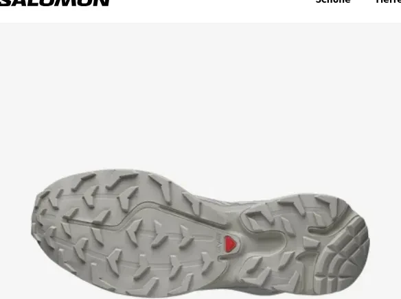 Salomon XT-6 ghost gray/gray flannel