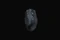 Razer Naga V2 HyperSpeed Wireless, USB/Bluetooth Vorschaubild