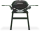 Weber Q 2200N (1501100)