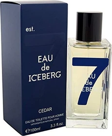 Iceberg Eau de Iceberg Cedar for Men Eau de Toilette, 100ml