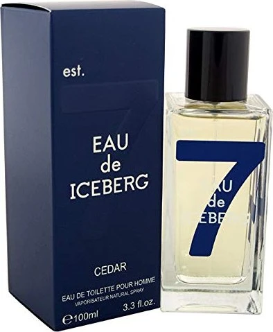 Iceberg Eau de Iceberg Cedar for Men Eau de Toilette, 100ml