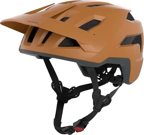 Alpina Taunus Helm