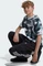 adidas Newcastle United FC Pre-Match Trikot kurzarm eqt green/clear onix/black (Junior) Vorschaubild