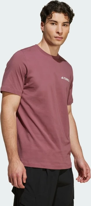 adidas Terrex Graphic T-Shirt kurzarm burgundy (Herren)