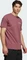 adidas Terrex Graphic T-Shirt kurzarm burgundy (Herren) Vorschaubild