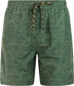 Protest Acorn Badeshorts thyme (Herren)
