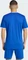 adidas Entrada 26 Trikot kurzarm royal blue/white (Herren) Vorschaubild