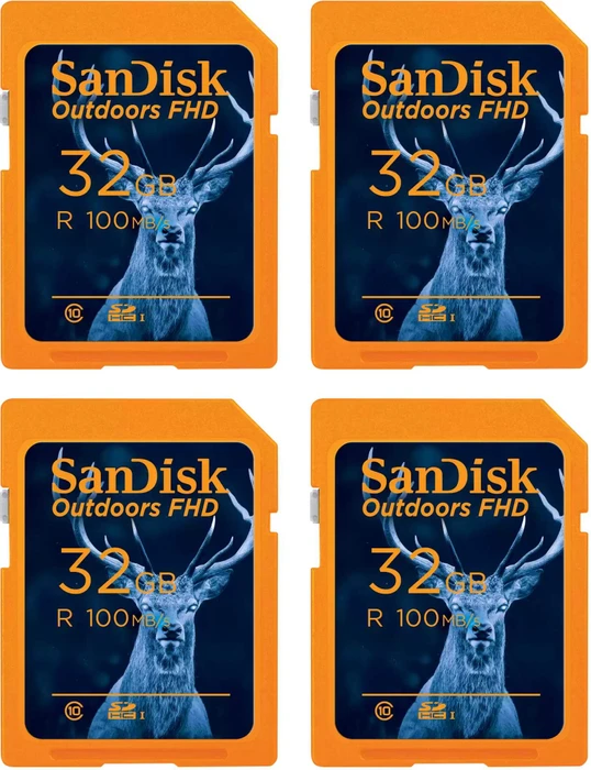 SanDisk Outdoors FHD R100 32GB, UHS-I U1, Class 10, 4er-Pack