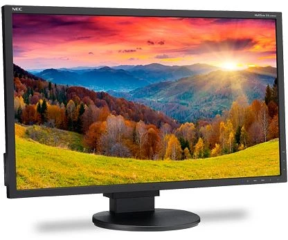 NEC MultiSync EA244WMi-BK, schwarz, 24"