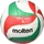 Molten V4M1500 Volleyball