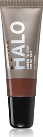Smashbox Halo Sheer to Stay Color Cheek + Lip Tint terracotta, 10ml