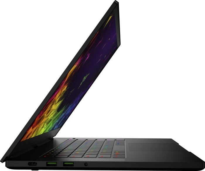 Razer Blade 15 Advanced Model (2018) - FHD, Core i7-8750H, 16GB RAM, 256GB SSD, GeForce GTX 1060 Max-Q, DE