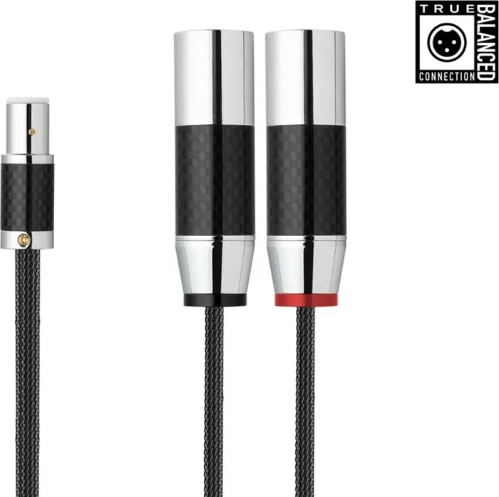 Pro-Ject Connect it RS