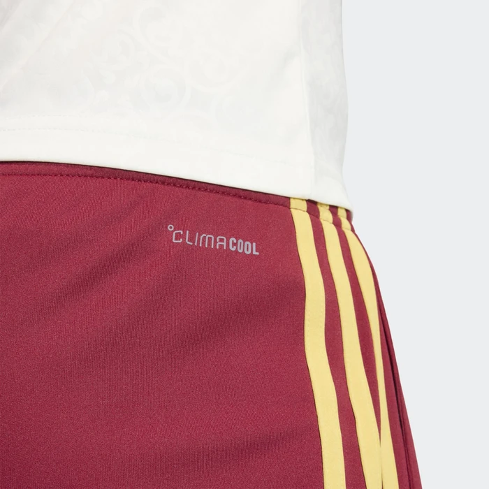 adidas FIFA WM 2026 Spanien Auswärtsshorts team coll burgundy 2 (Herren)