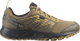 Salomon Wander Gore-Tex antique bronze/canteen/southern moss (Herren)