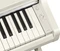 Yamaha Arius YDP-166 Birke weiß Vorschaubild