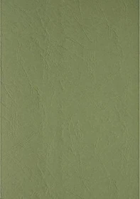 Clairefontaine Text & Cover ledergeprägt Universalpapier dunkelgrün, A4, 240g/m², 100 Blatt