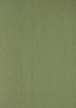Clairefontaine Text & Cover A4, ledergebrägt, 240g/m²
