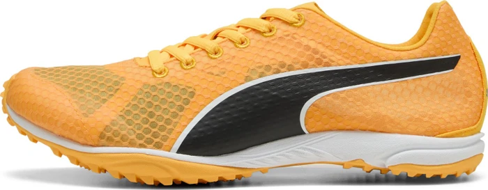 Puma evoSPEED Haraka 8 sun stream/puma black/puma white