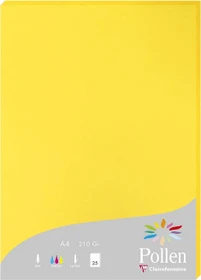 Clairefontaine Pollen Universalpapier gelb, A4, 210g/m², 25 Blatt