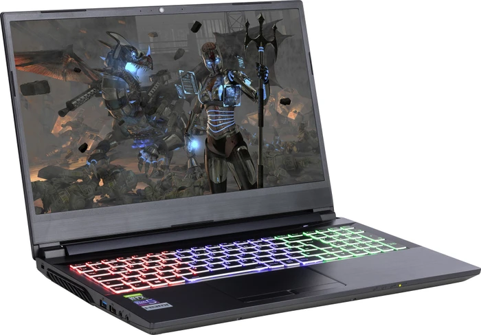 Nexoc G1524, Core i7-8750H, 64GB RAM, 1TB SSD, 2TB HDD, GeForce RTX 2060, DE