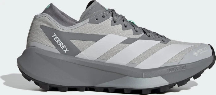 adidas Terrex Agravic GTX 2 (Damen)