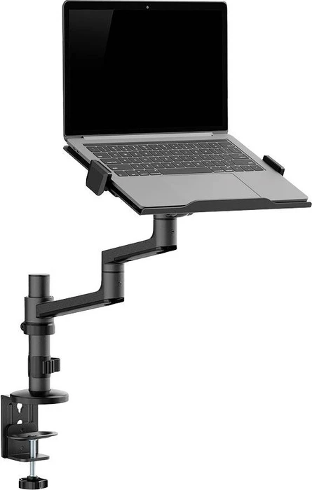 Neomounts Tischhalterung, Notebook-Halterung 11.6-17.3", schwarz